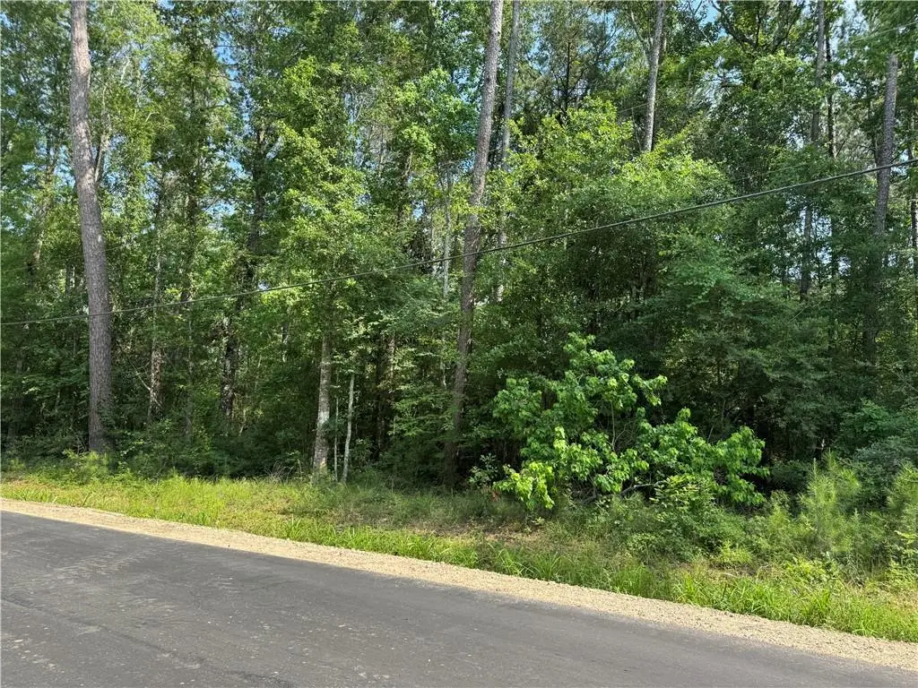 Tract 1-B Lower Rome Road, Springfield, LA 70462 - #1