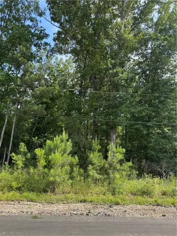 Tract 1-B Lower Rome Road, Springfield, LA 70462 - #2