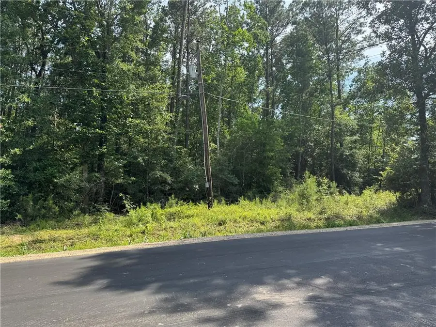 Tract 1-B Lower Rome Road, Springfield, LA 70462 - #3