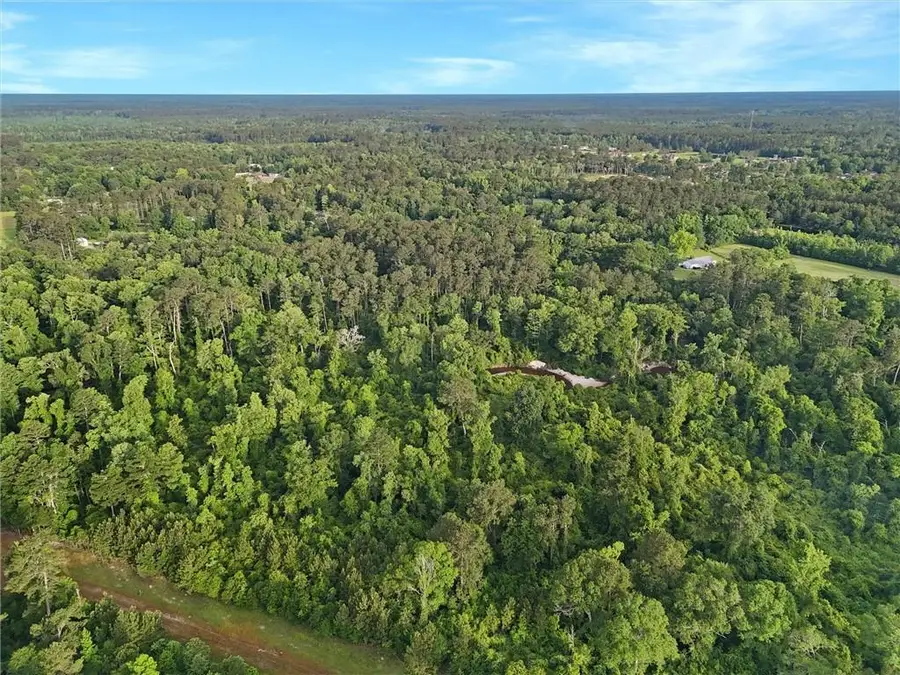 30062 Herman Bankston Road, Albany, LA 70711 - #3