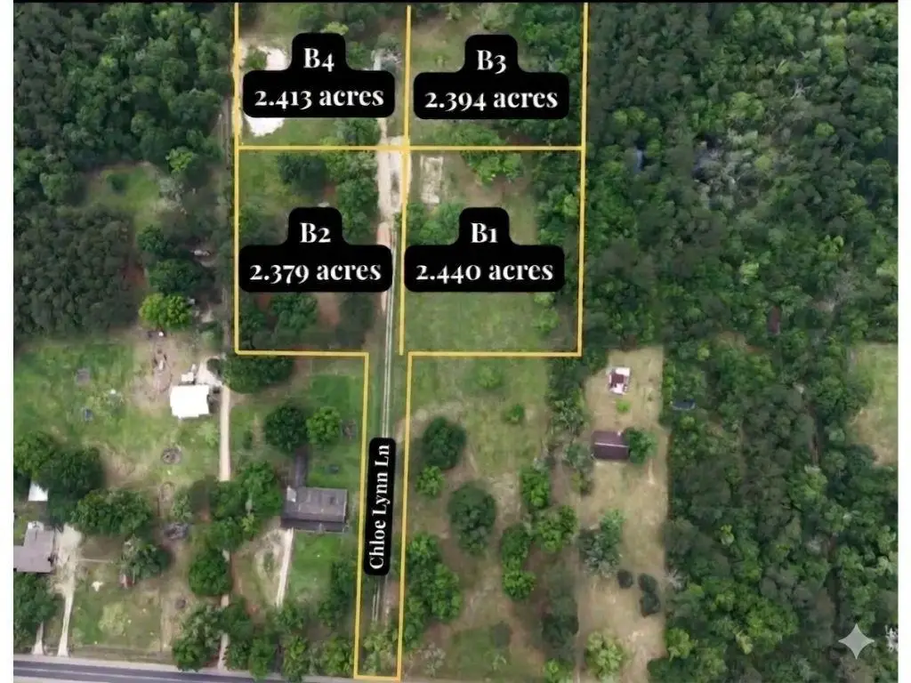 Chloe Lynn Lane, Ponchatoula, LA 70454 - #1