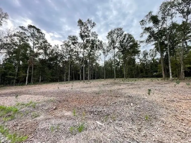 39092 Keaghey Road, Ponchatoula, LA 70454 - #2