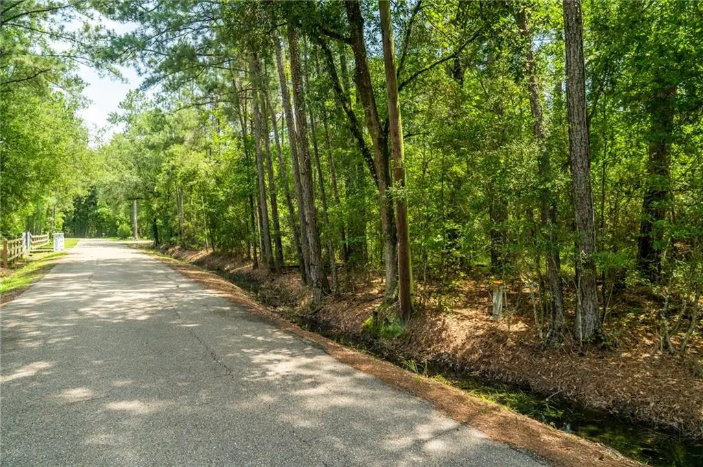 000 Chills Blue Springs Road, Hammond, LA 70401 - #1