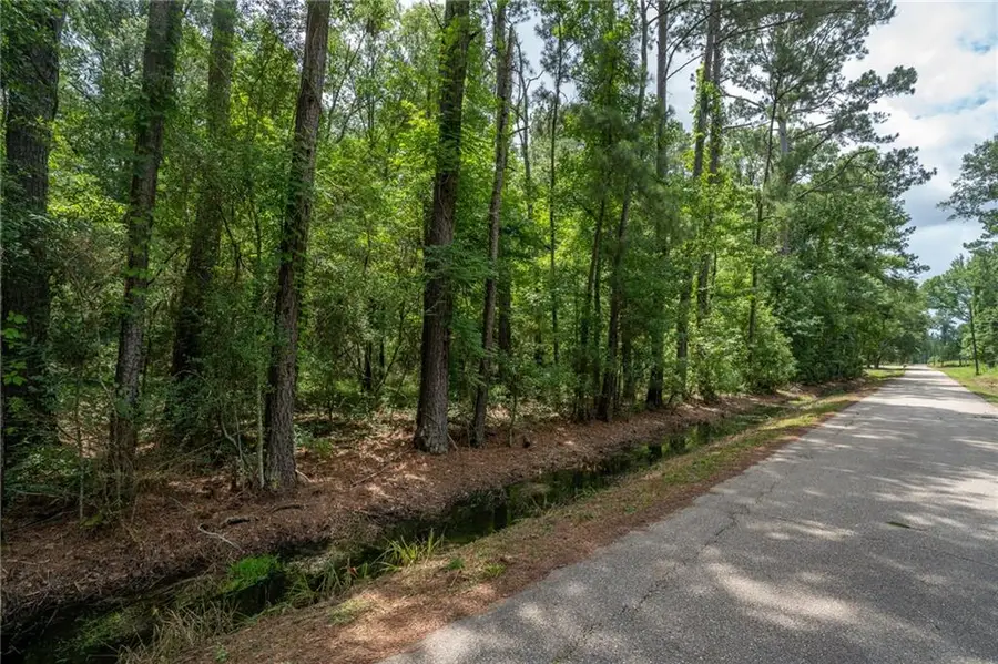 000 Chills Blue Springs Road, Hammond, LA 70401 - #2