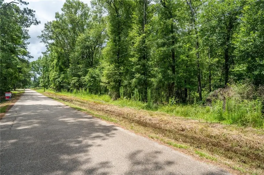 000 Chills Blue Springs Road, Hammond, LA 70401 - #3