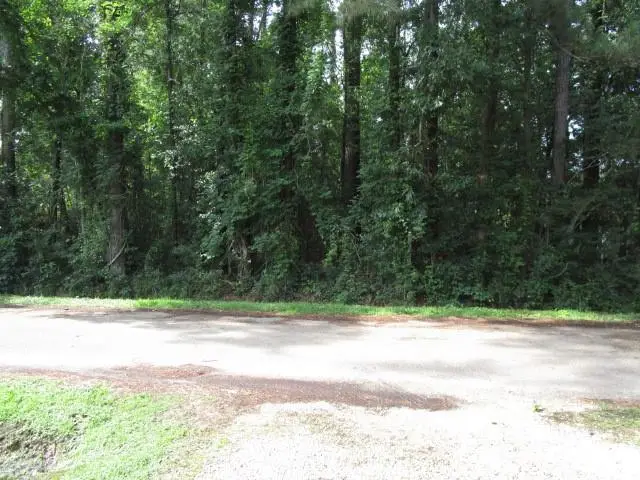 0 Davis Street, Madisonville, LA 70447 - #1