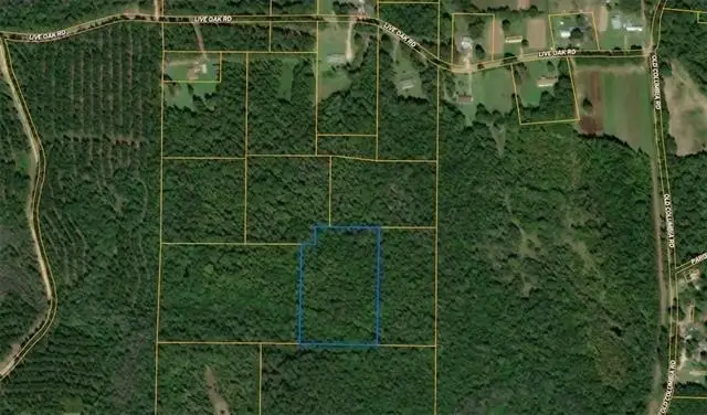 NHN Will Roberts Road, Angie, LA 70426 - #1