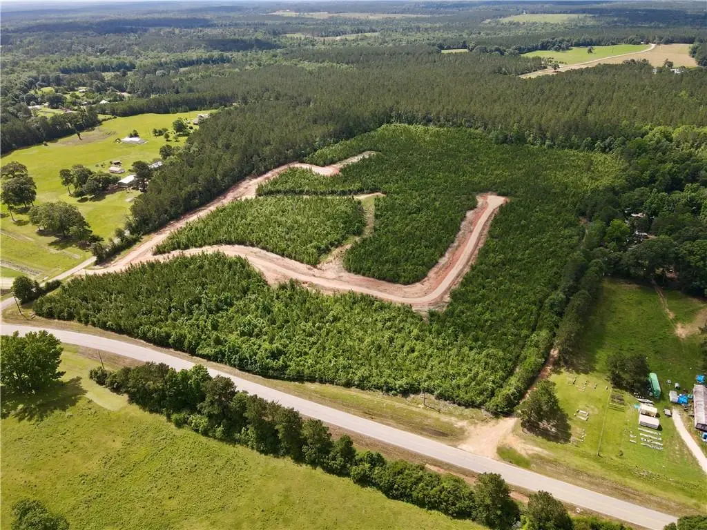 Parcel 1 436 Highway, Franklinton, LA 70438 - #1
