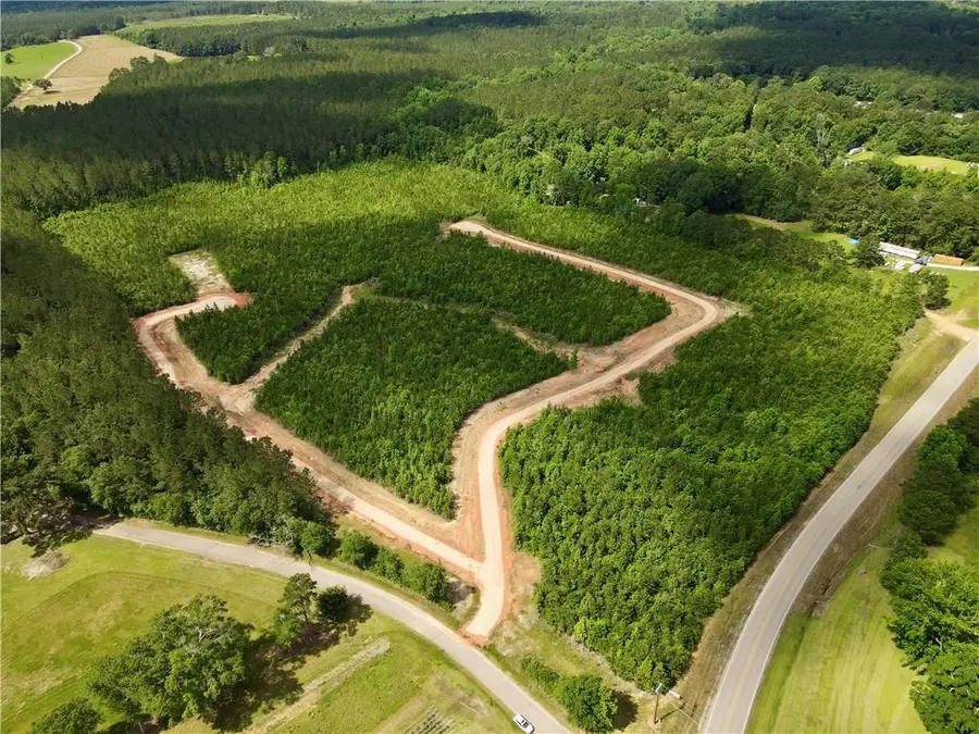 Parcel 1 436 Highway, Franklinton, LA 70438 - #2