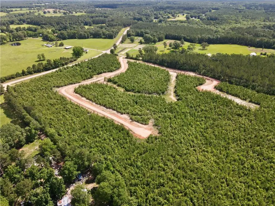 Parcel 1 436 Highway, Franklinton, LA 70438 - #3