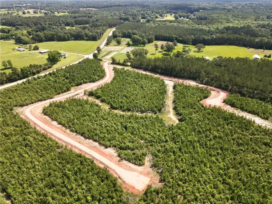 Parcel 3 436 Highway, Franklinton, LA 70438 - #2