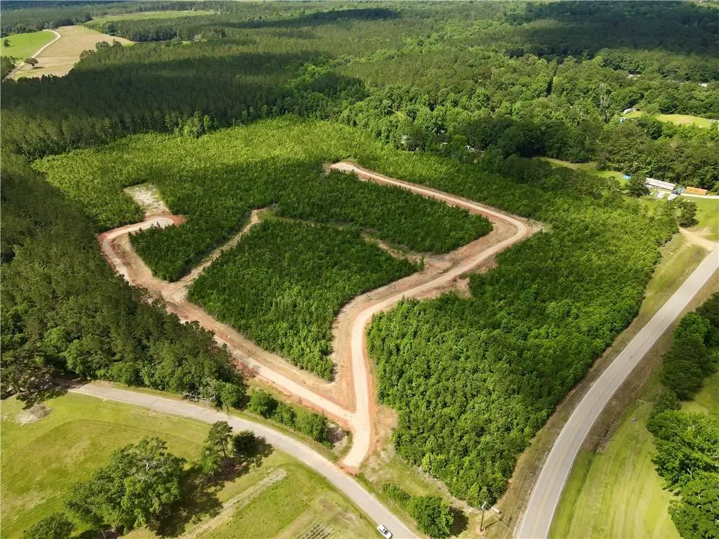 Parcel 7 436 Highway, Franklinton, LA 70438 - #1