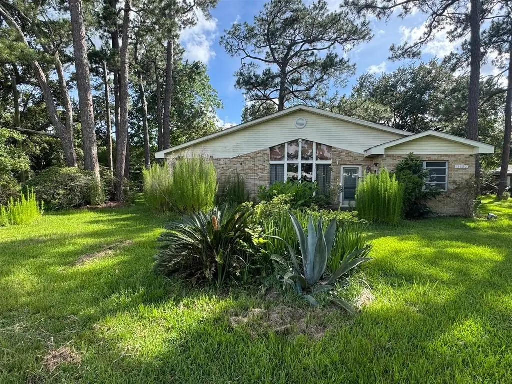 13680 Highway 23, Belle Chasse, LA 70037 - #1