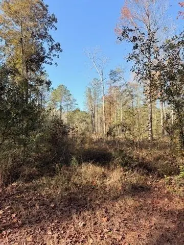 42217 Pasqua Road, Ponchatoula, LA 70454