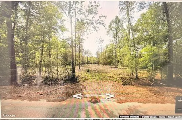 42217 Pasqua Road, Ponchatoula, LA 70454 - #2
