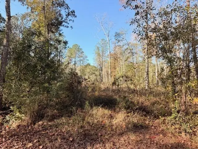42217 Pasqua Road, Ponchatoula, LA 70454 - #3