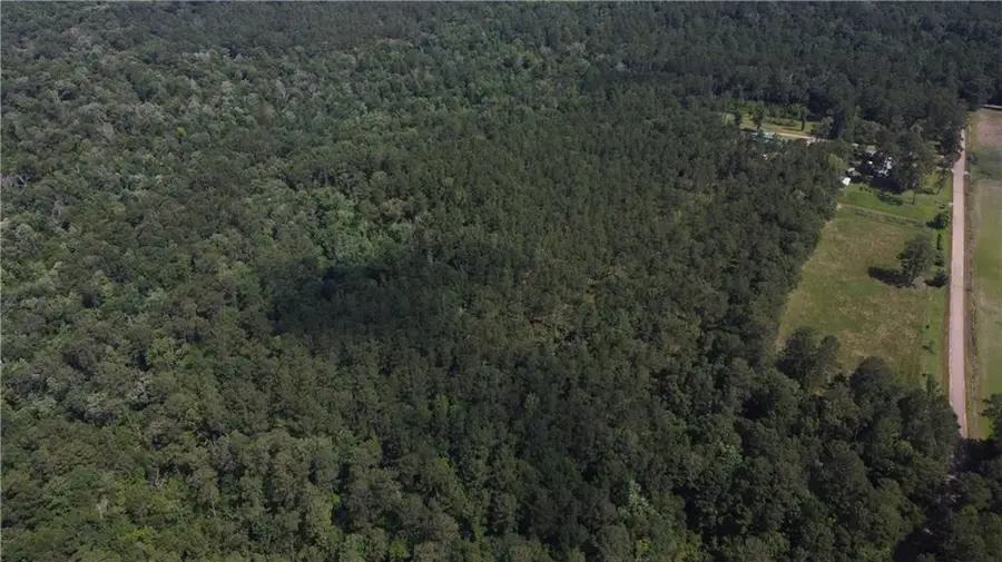 71 Acres Pierre Cemetery Road, Folsom, LA 70437 - #3