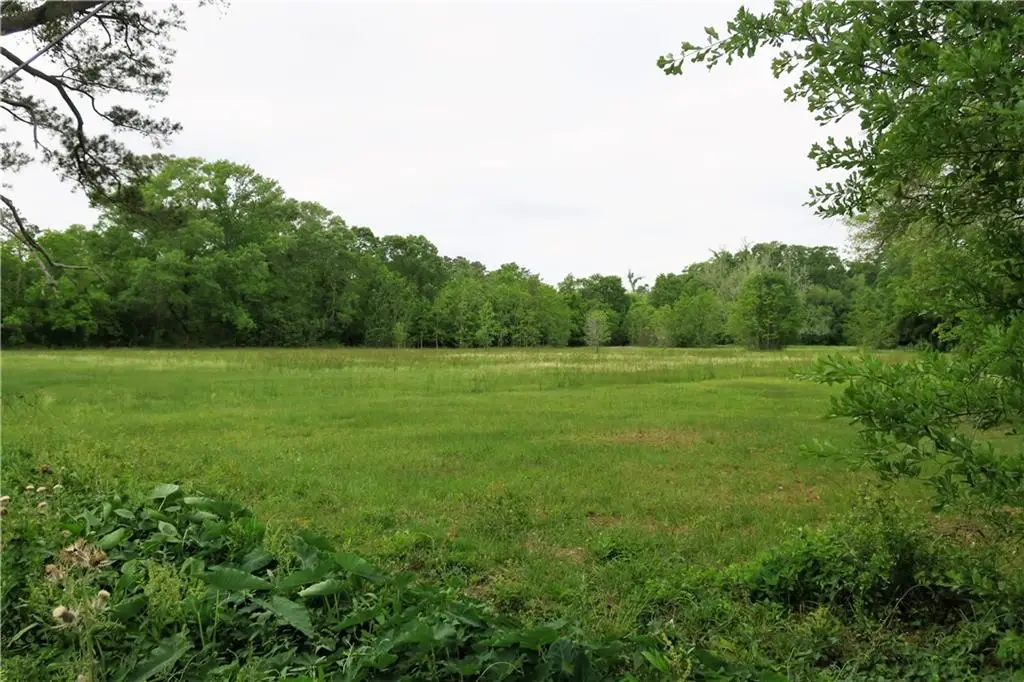 Copal Street, Mandeville, LA 70448 - #1