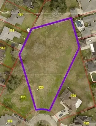 125 Downing Ct, Belle Chasse, LA 70037 - #2