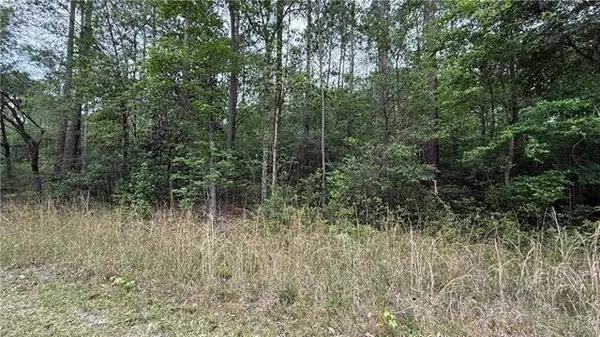 0 Burke Drive, Abita Springs, LA 70420