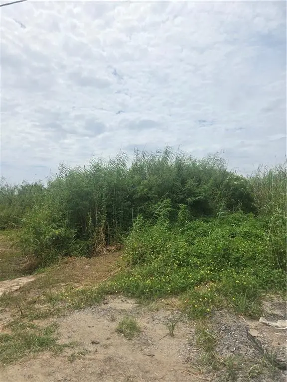 Lots 1-4 Quince Lane, Grand Isle, LA 70358