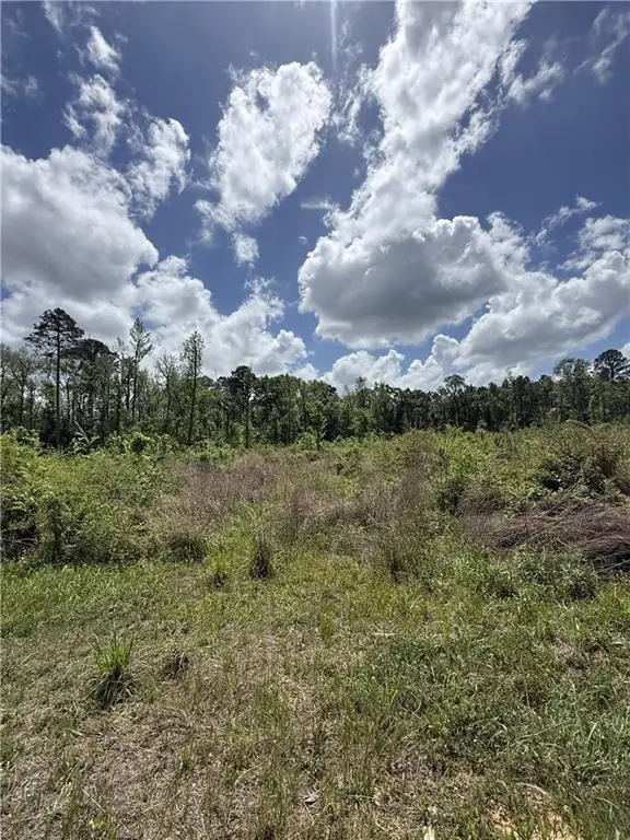 Tbd Newsome Road, Pineville, LA 71360 - #2