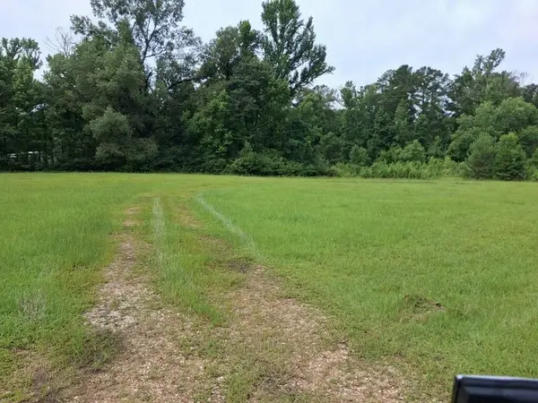 1307 Brinks Lane, Ball, LA 71405