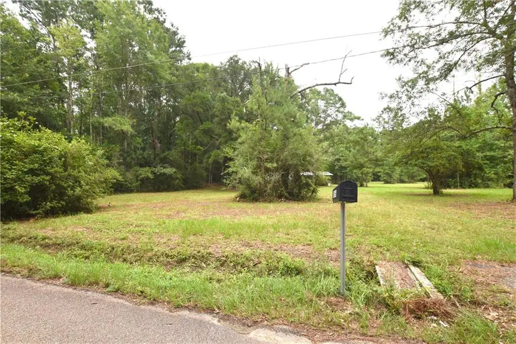 81056 Father Francis Drive, Bush, LA 70431 - #1