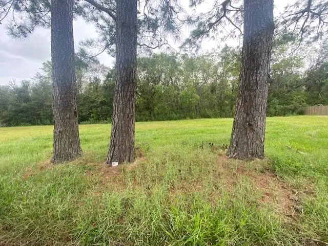 1641 Heights Drive, Saint Bernard, LA 70085 - #1