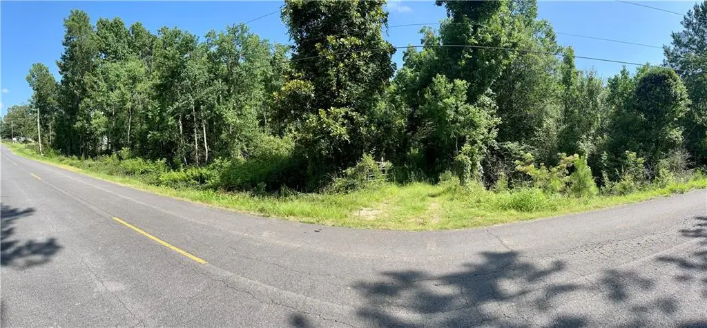 19376 N Saint Charles Avenue, Loranger, LA 70446 - #1