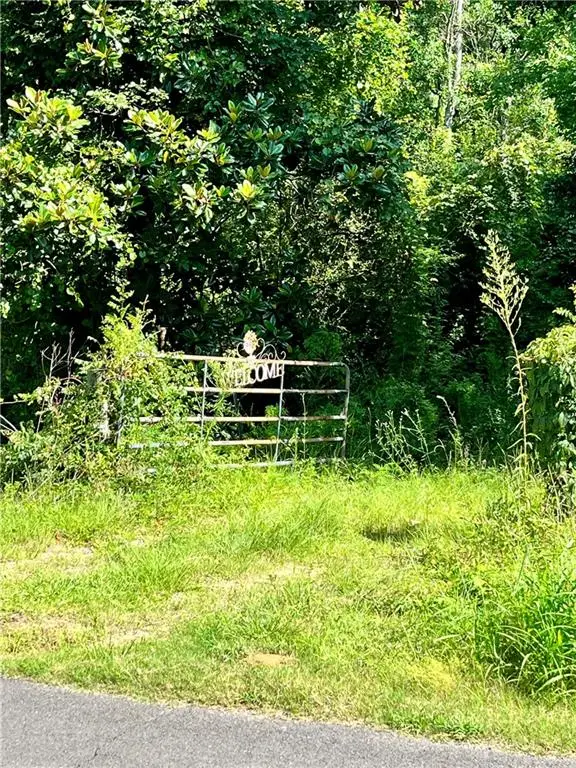 19376 N Saint Charles Avenue, Loranger, LA 70446 - #2