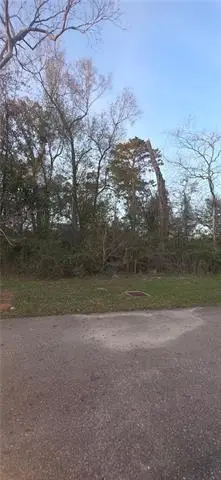 E Park Avenue, Hammond, LA 70403 - #2