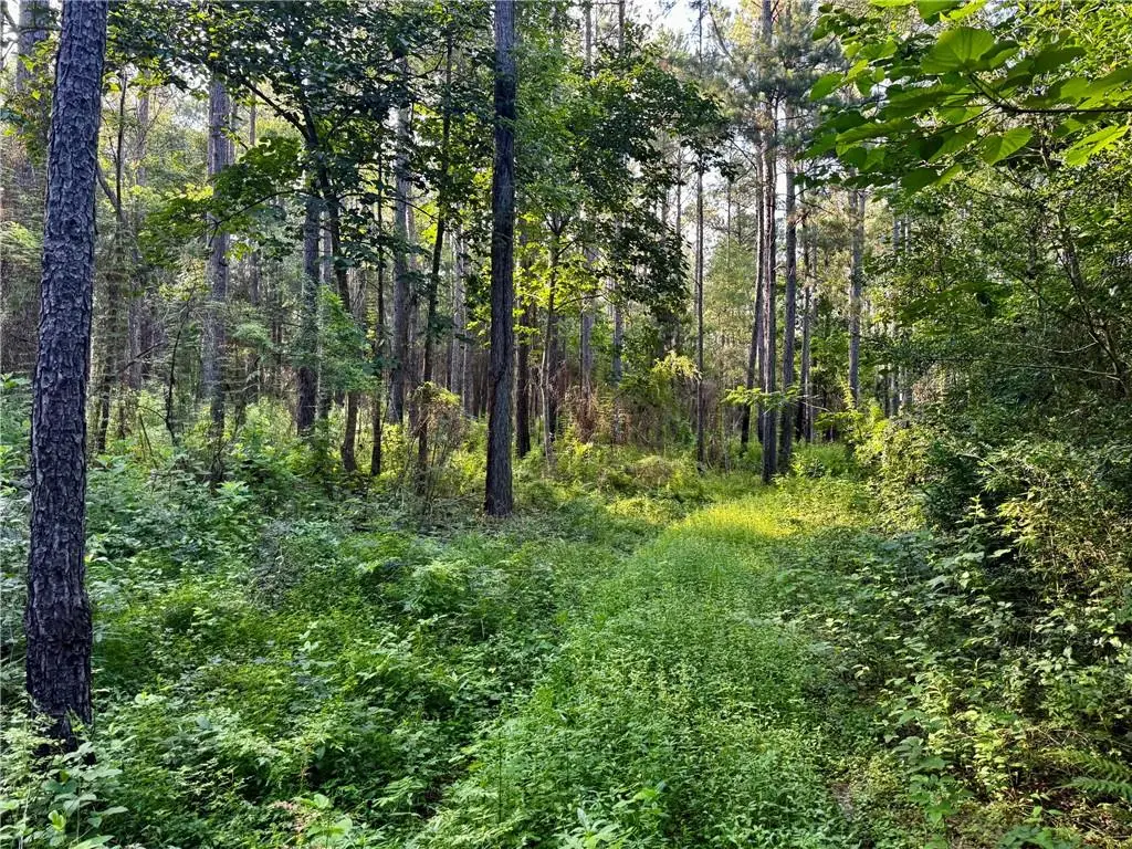 Parcel 3 Ward Line Road, Bogalusa, LA 70427 - #1