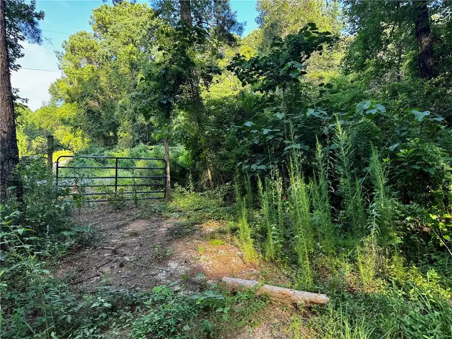 Parcel 3 Ward Line Road, Bogalusa, LA 70427 - #2