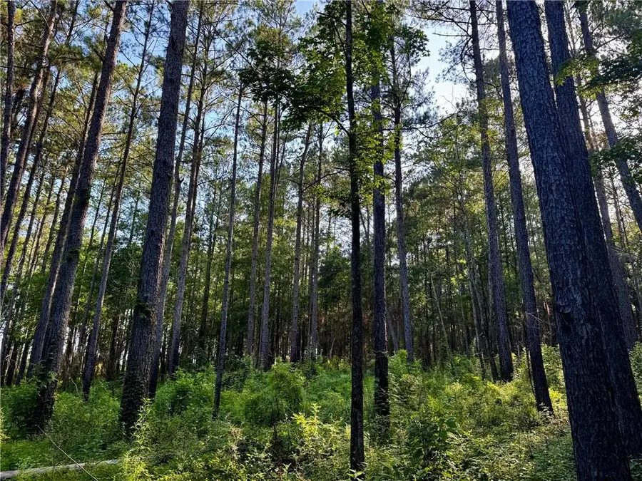 Parcel 3 Ward Line Road, Bogalusa, LA 70427 - #3