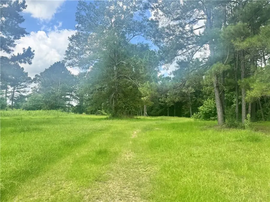72045 S Lewiston Road, Kentwood, LA 70444 - #3