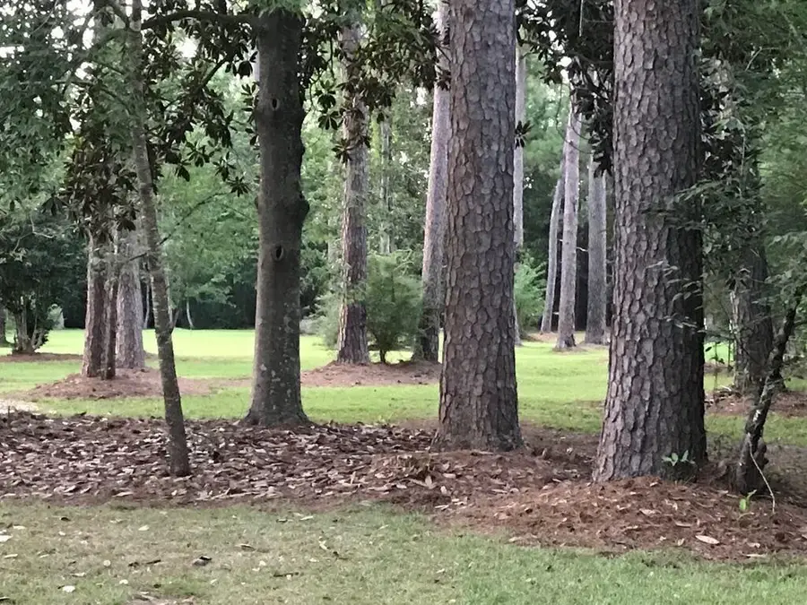 999 Country Club Drive, Covington, LA 70433 - #3