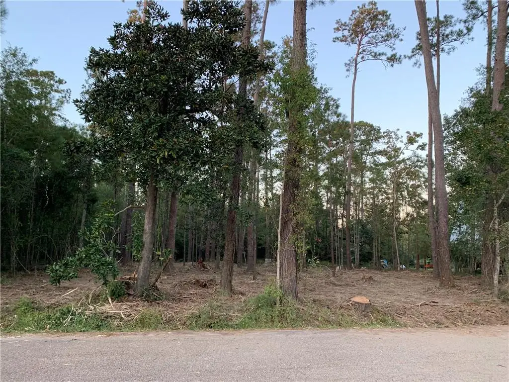 Lts 229 & 230 Monga Drive, Covington, LA 70433 - #1