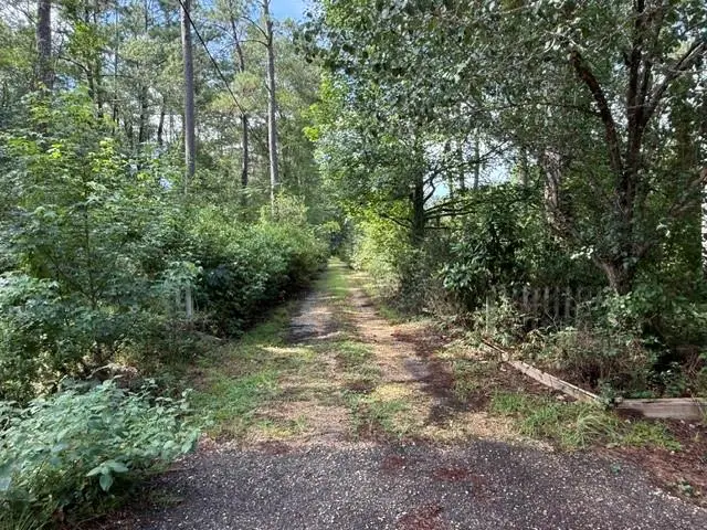 314 Deerfield Road, Folsom, LA 70437 - #3