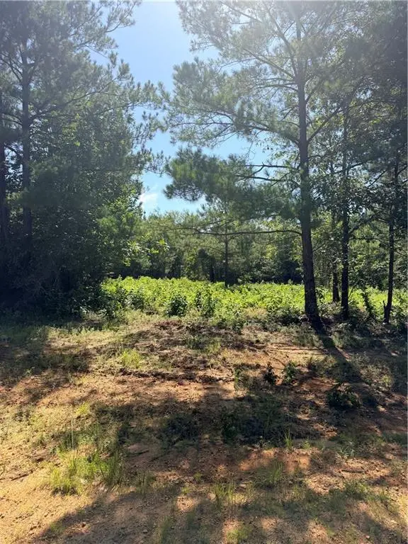 224 Hughart Road, Pollock, LA 71467