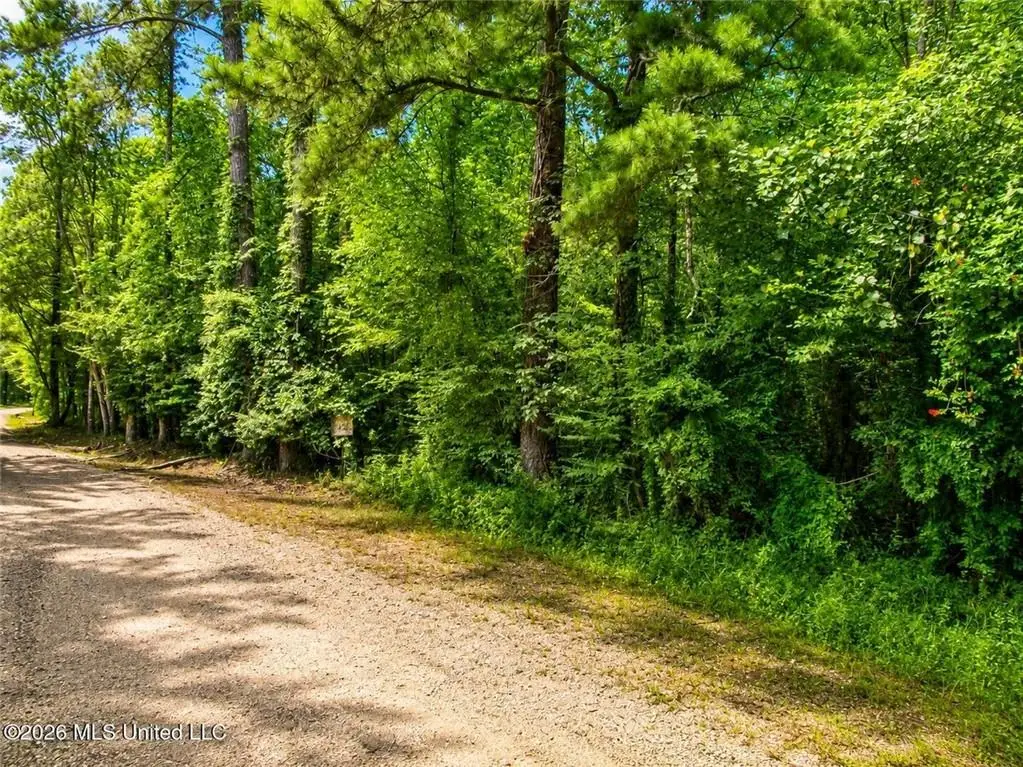 Belle Gardner Road, Amite, LA 70422 - #1