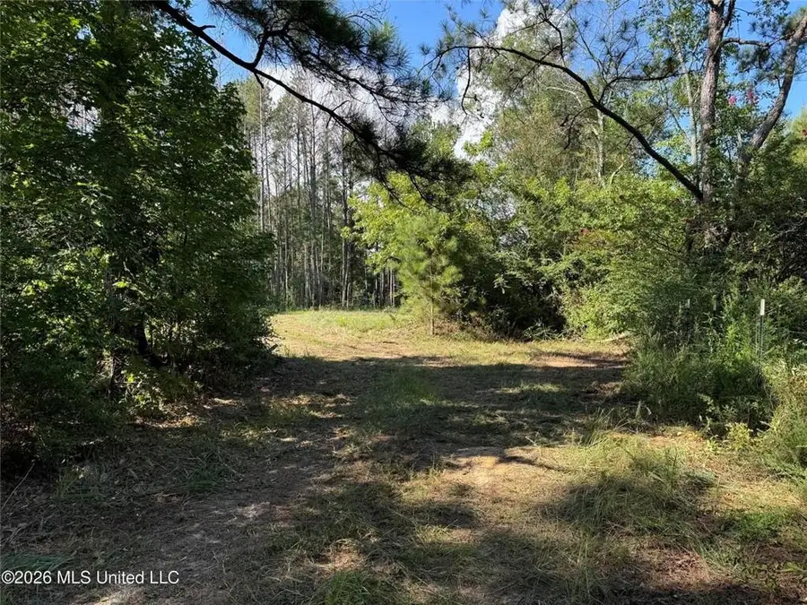 Auburn Street, Bogue Chitto, MS 39629 - #3