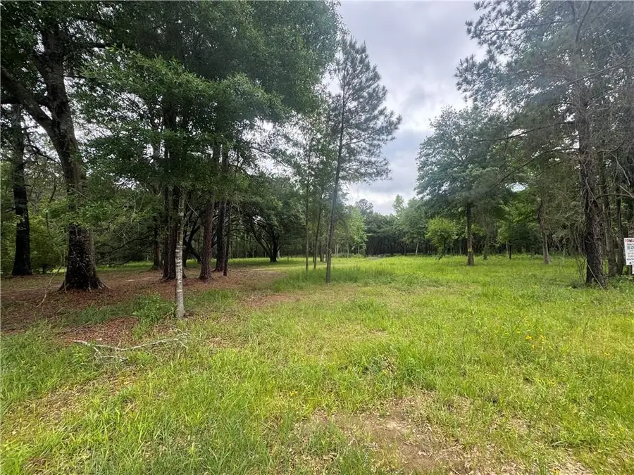 Highway 435 Highway, Abita Springs, LA 70420 - #3