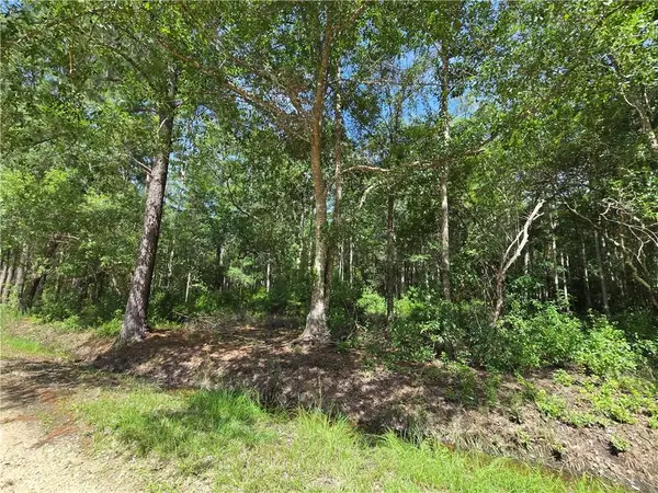 72226 Magnolia Road, Abita Springs, LA 70420