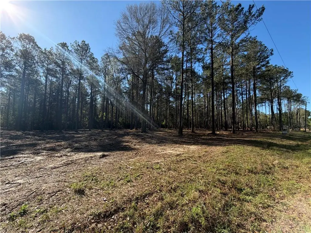 TBD 9.74 acres Tatoo Road, Glenmora, LA 71433 - #1