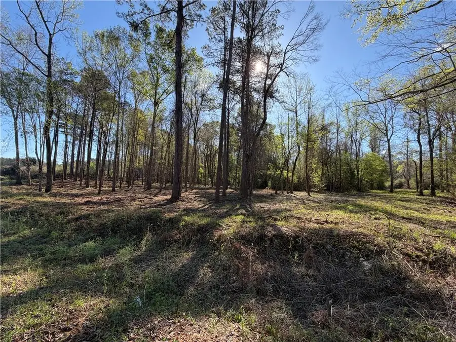 TBD 9.74 acres Tatoo Road, Glenmora, LA 71433 - #2