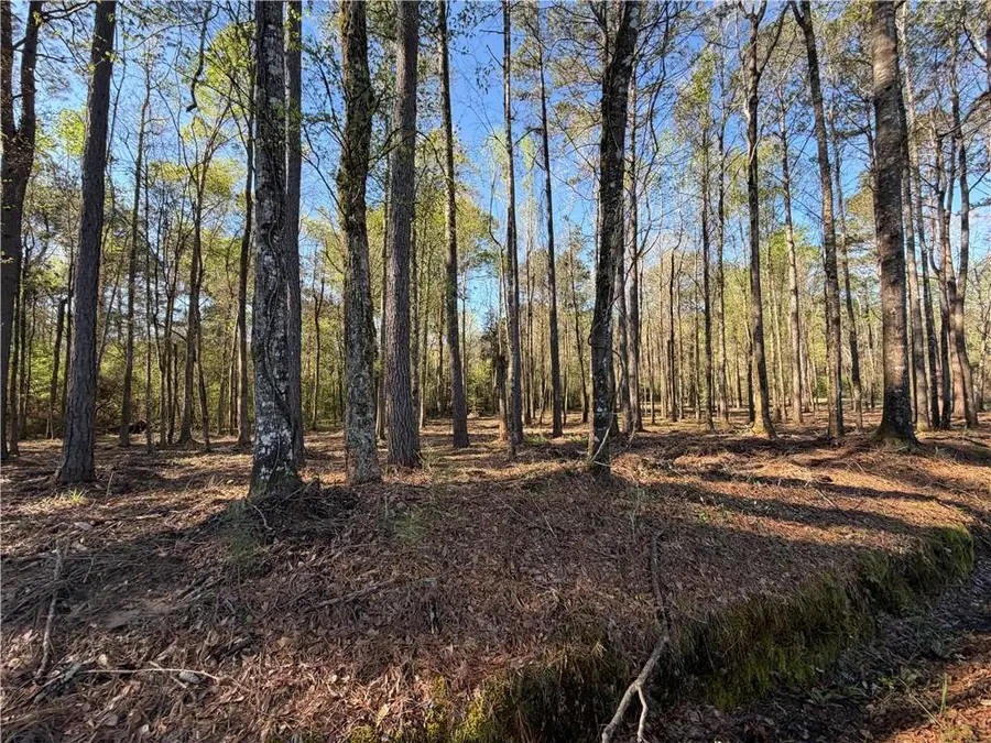 TBD 3.32 acres Tatoo Road, Glenmora, LA 71433 - #3