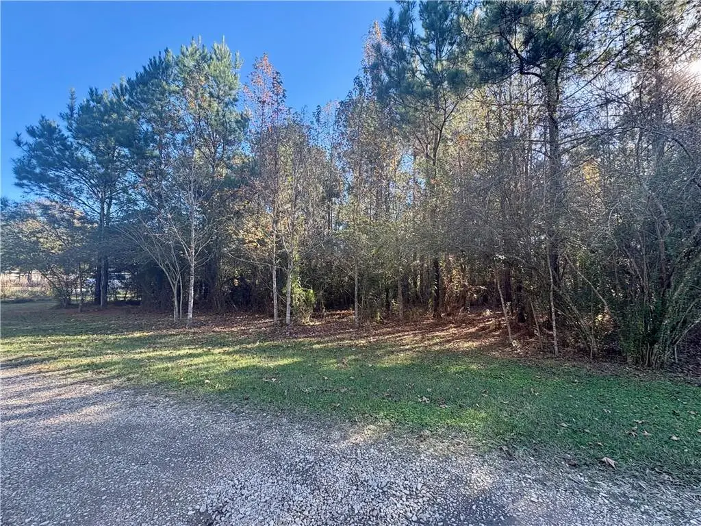 38897 Walker North Road, Walker, LA 70785 - #1