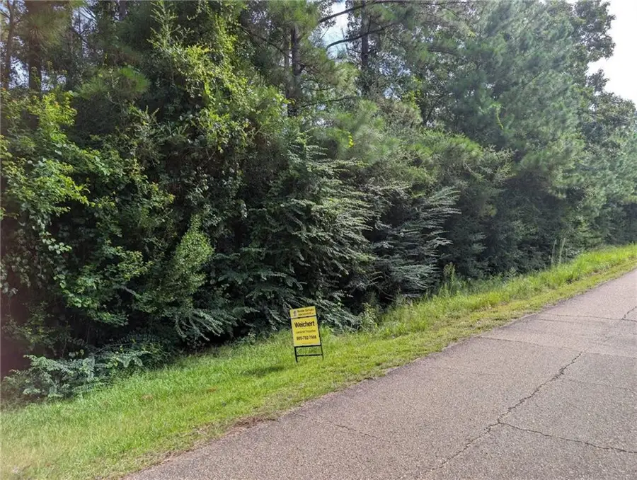Providence Estates Road, Amite, LA 70422 - #3