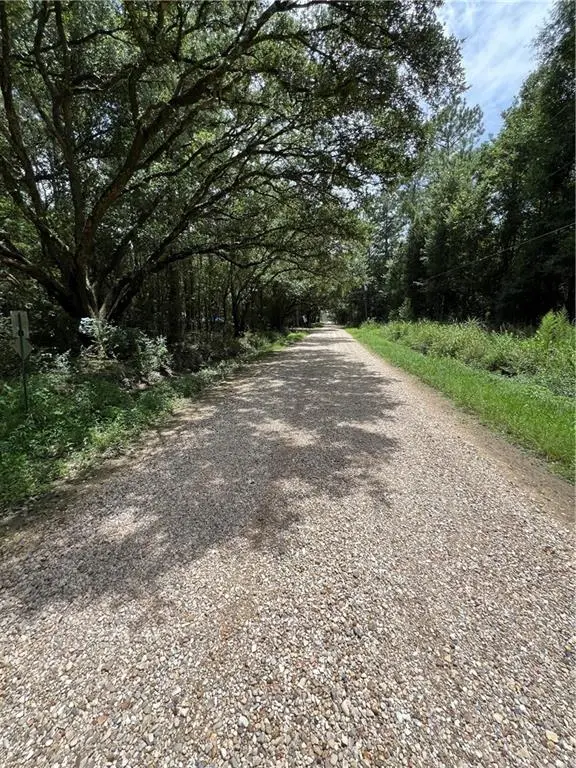 00000 Eagle Street, Abita Springs, LA 70420 - #3